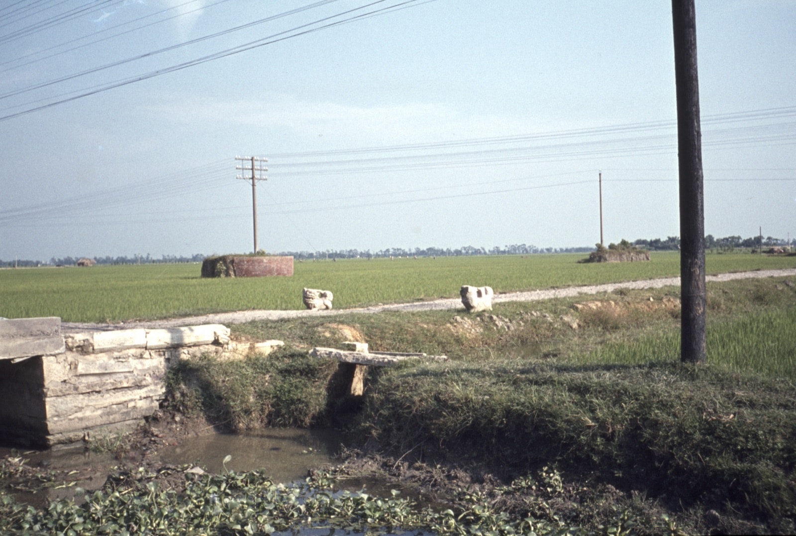 1978年中国人民公社成员以人力平整土地的场景